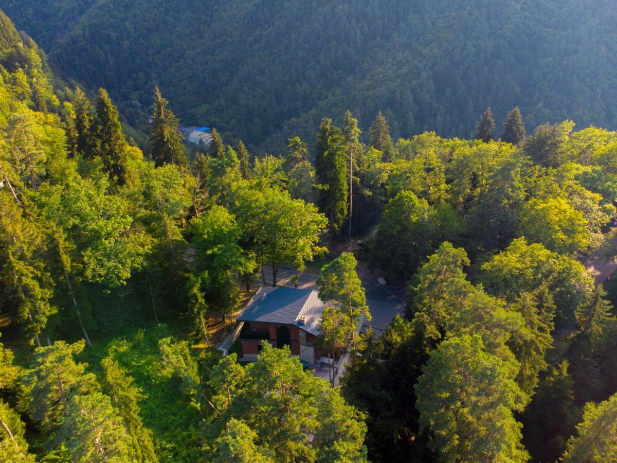 Hotel Evergreen Borjomi Luaran gambar